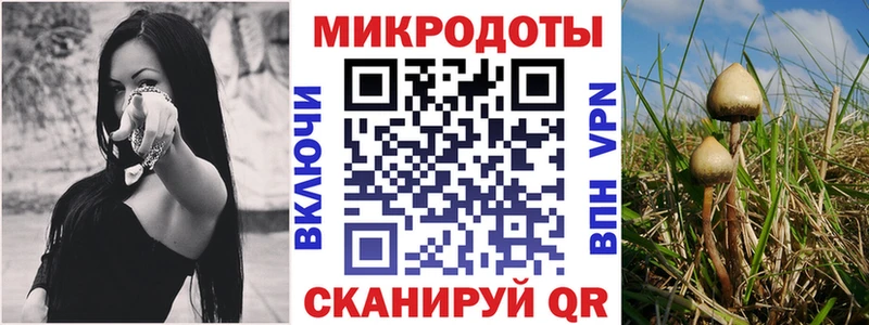 Галлюциногенные грибы MAGIC MUSHROOMS наркота Медынь